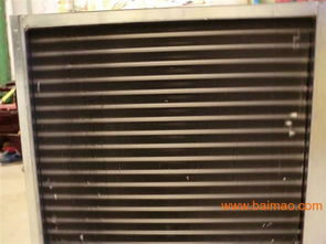 青州新型温室 多功能大棚助力农业现代化 —— 徐素红生产厂家详解